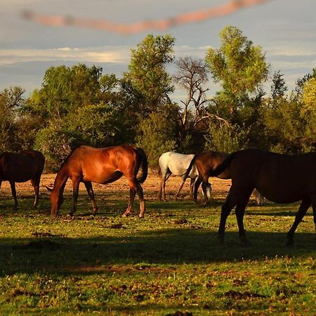 Hofmeyr Beaconsfield Farm 빌라 외부 사진